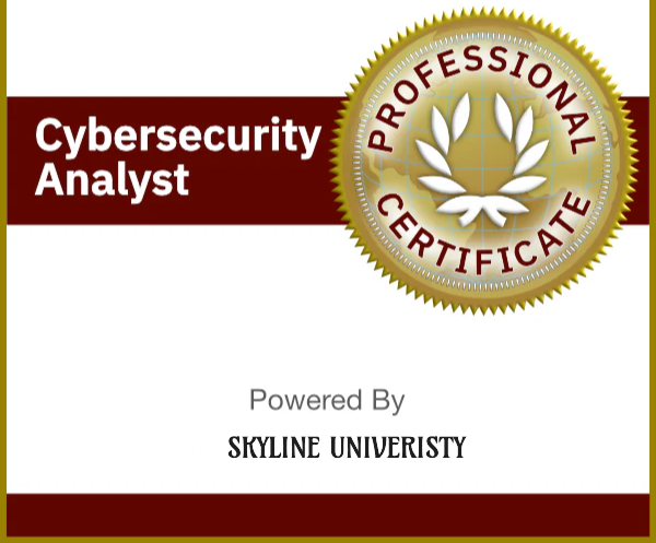Cybersecurity Icon